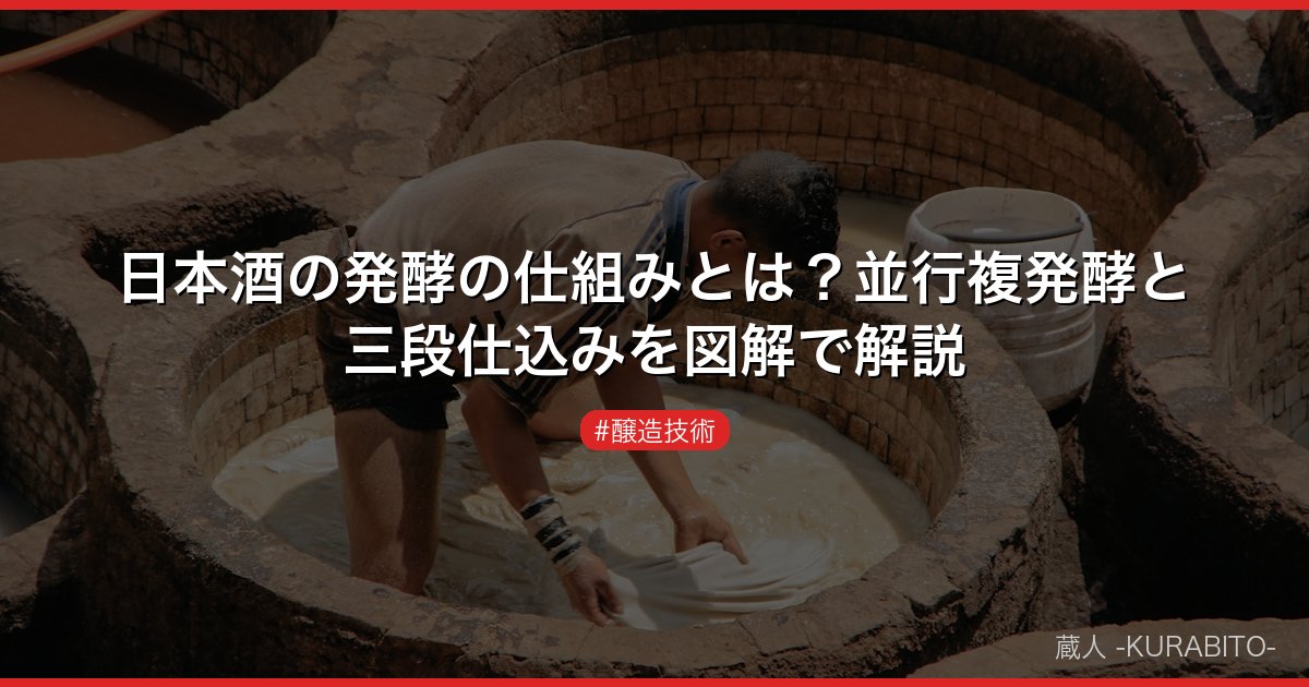 日本酒の発酵の仕組みとは？並行複発酵と三段仕込みを図解で解説